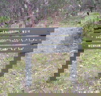 Salisbury Falls Walk - Tweed Heads Accommodation