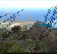Strzelecki Peaks Great Short Walk - Tweed Heads Accommodation