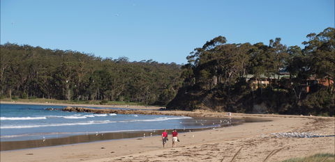 Surf Beach Batemans Bay - Tweed Heads Accommodation 1