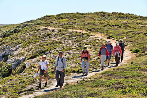 The Sole Walk At Hillocks Drive - Tweed Heads Accommodation 0