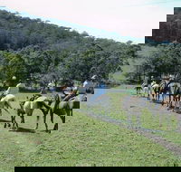 Timbertops - Horse Riding - Tweed Heads Accommodation