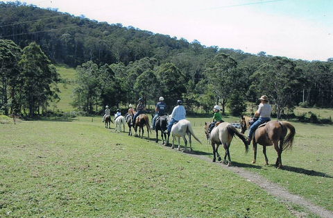 Timbertops - Horse Riding - Tweed Heads Accommodation 0