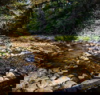 Wilson River picnic area - Tweed Heads Accommodation
