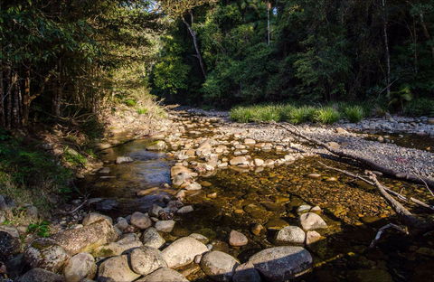 Wilson River Picnic Area - Tweed Heads Accommodation 0