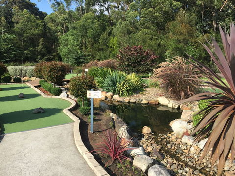 18 Hole Mini Golf - Club Husky - Tweed Heads Accommodation 0