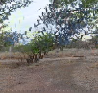 Alexander Forest Memorial - Tweed Heads Accommodation