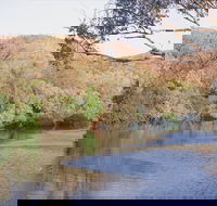 Alligator / Crocodile Hole - Tweed Heads Accommodation