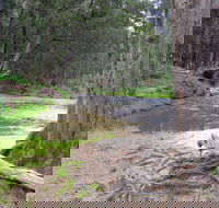 Bangadilly National Park - Tweed Heads Accommodation