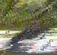 Berry Springs - Tweed Heads Accommodation