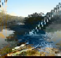 Bilya Walk Track - Tweed Heads Accommodation