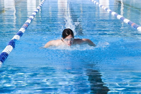 Bomaderry Aquatic Centre - Tweed Heads Accommodation 0