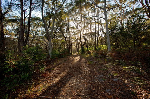 Booderee National Park: Munyunga Waraga Dhugan Walking Trail - Tweed Heads Accommodation 0