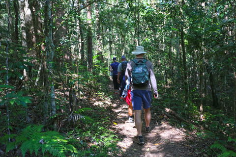 Booloumba Falls Walk, Conondale National Park - Tweed Heads Accommodation 1