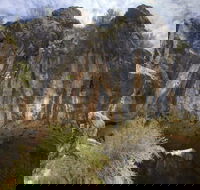 Borenore Karst Conservation Reserve - Tweed Heads Accommodation