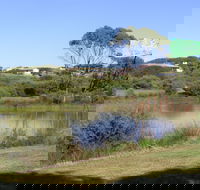 Centennial Park Beachport - Tweed Heads Accommodation