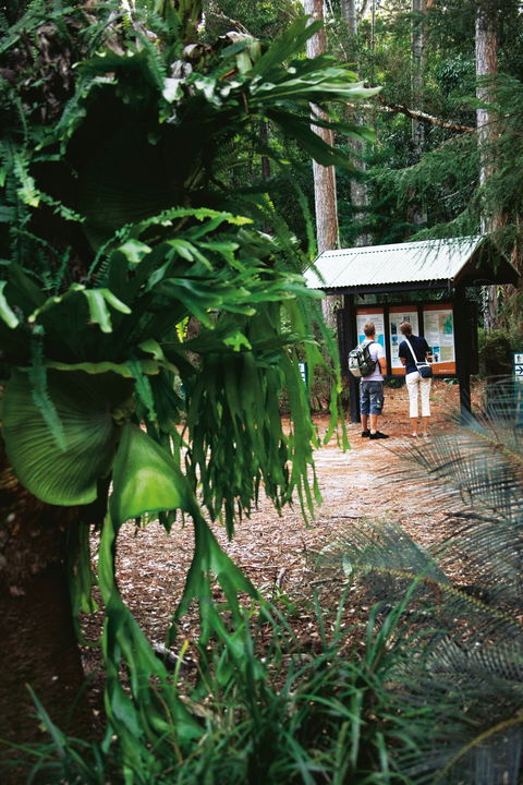 Central Station - Tweed Heads Accommodation 1