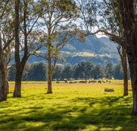 Coast to the Highlands Scenic Drive  Kangaroo Valley - Tweed Heads Accommodation