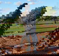 Cobar Miners Heritage Park - Tweed Heads Accommodation