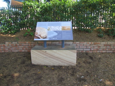 Coxs Road Interpretive Trail - Tweed Heads Accommodation 0