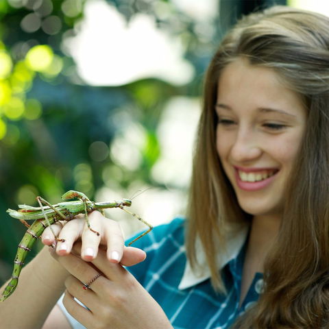 CSIRO Discovery Centre - Tweed Heads Accommodation 1