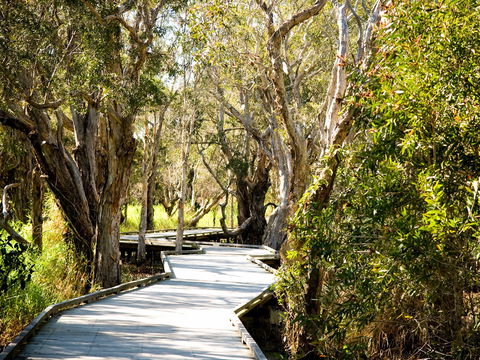Eagleby Wetlands - Tweed Heads Accommodation 1
