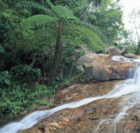 Finch Hatton - Tweed Heads Accommodation