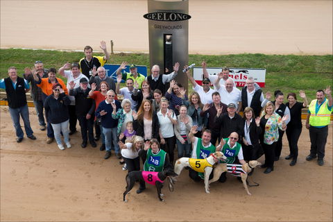 Geelong Greyhound Racing Club - The Beckley Centre - Tweed Heads Accommodation 0
