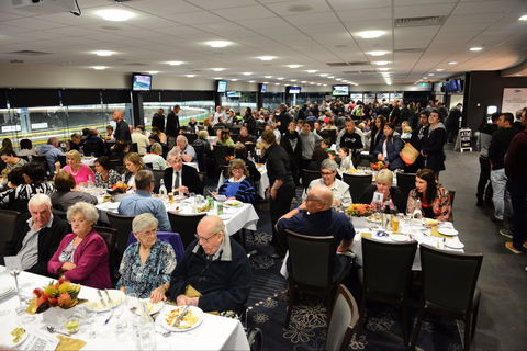 Geelong Greyhound Racing Club - The Beckley Centre - Tweed Heads Accommodation 1