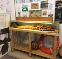 George The Giant Squid Display Wallaroo - Tweed Heads Accommodation