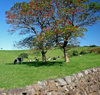 Historic Dry Stone Walls Kiama - Tweed Heads Accommodation