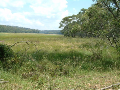 Hume And Hovell Walking Track - Tweed Heads Accommodation 2
