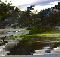 Hunter Wetlands Centre - Tweed Heads Accommodation