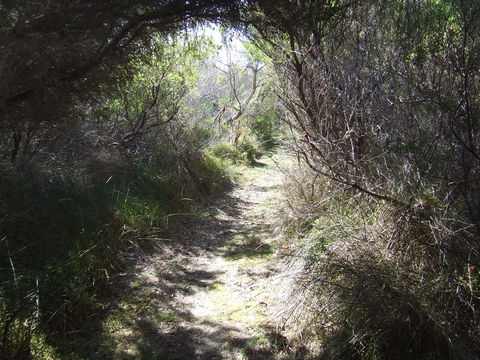 Jack And Hilda McArthur Walk - Tweed Heads Accommodation 0