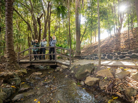 Kholo Gardens Trails - Tweed Heads Accommodation 1