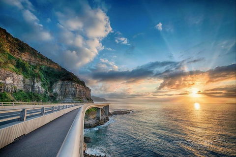 Kramer Photography Rainforest Gallery - Tweed Heads Accommodation 0