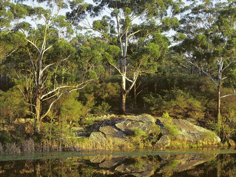 Lake Parramatta Reserve And Recreation Area - Tweed Heads Accommodation 1