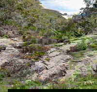 Lynchs Loop Trail - Tweed Heads Accommodation