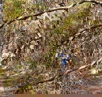 Lyrebird Dell walking track - Tweed Heads Accommodation