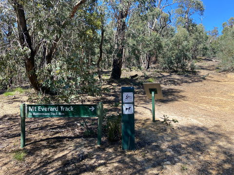 Mt Everard Circuit - Tweed Heads Accommodation 1