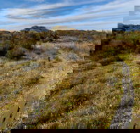 Murramarang Aboriginal Area Walking Track - Tweed Heads Accommodation