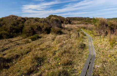 Murramarang Aboriginal Area Walking Track - Tweed Heads Accommodation 0