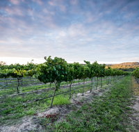 Nature and Foodies Trail - Tweed Heads Accommodation