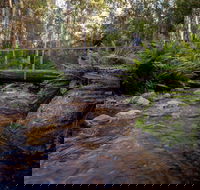 O'Neills Creek picnic reserve - Tweed Heads Accommodation