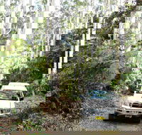 Orara Escarpment 4WD Touring Route - Tweed Heads Accommodation