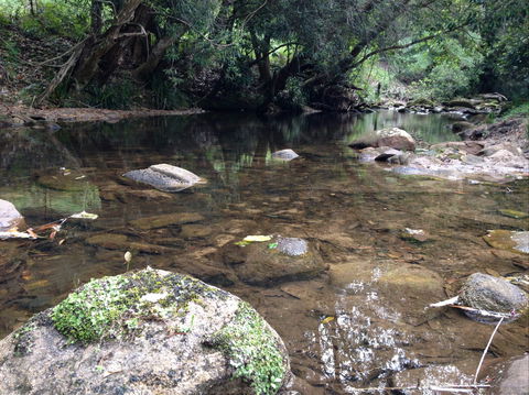 Otford Farm Horse Riding - Tweed Heads Accommodation 2