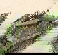 Pebbly Beach to Snake Bay walking track - Tweed Heads Accommodation