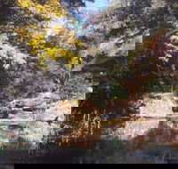 Pheasants Nest - Tweed Heads Accommodation