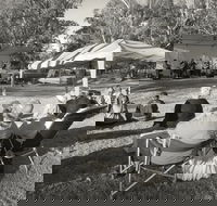 Pioneer Park - Tweed Heads Accommodation