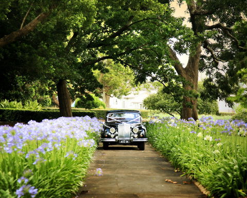 Queens Park, Toowoomba - Tweed Heads Accommodation 2