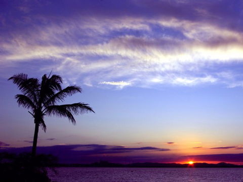 Quoin Island Retreat And Turtle Rehabilitation Centre - Tweed Heads Accommodation 0